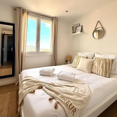 T3 Sea View Walking Distance Of Palais, Ac , Parking, Terrace Cannes